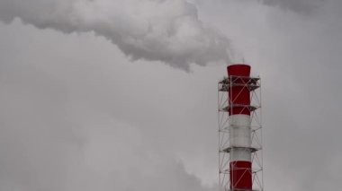 Renkli soyut resim arkaplanı. Modern motif görsel sanat. Yağ renkli yoğun bir karışım. Moda el boyama bezi. Moda poster kağıdı için tuval üzerindeki fırça darbelerini boya