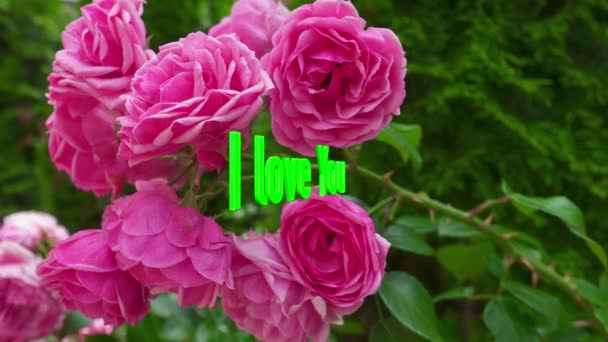 Ich Liebe Dich Text Farbe Blumen Hintergrund — Stockvideo