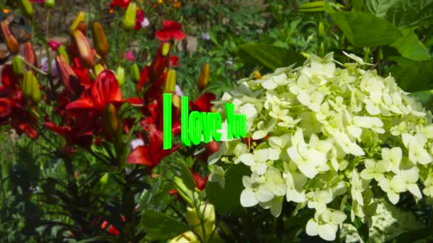 君のテキストが好き 花の背景色 — ストック動画