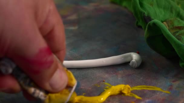 Artist Mixes Oil Paints Paints Canvas — Stock Video