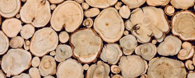 ahşap kütüklerin dokusu