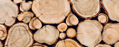 ahşap kütüklerin dokusu