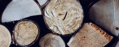 ahşap kütüklerin dokusu