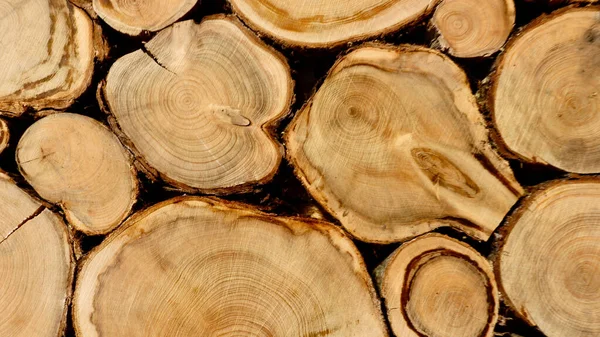 木制原木的质地 — 图库照片