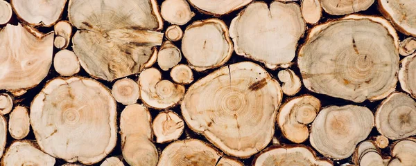 木制原木的质地 — 图库照片