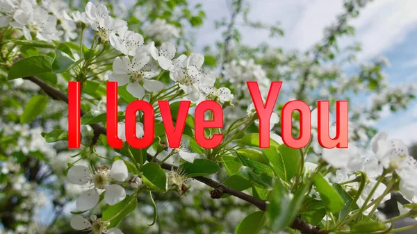 Ich Liebe Dich Text Farbe Blumen Hintergrund — Stockfoto