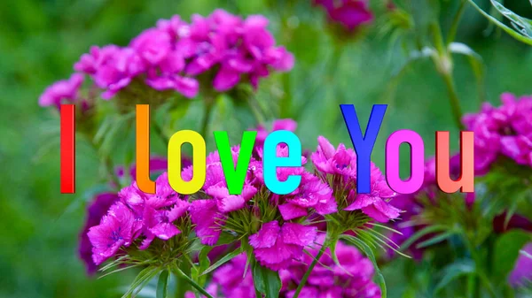 Ich Liebe Dich Text Farbe Blumen Hintergrund — Stockfoto