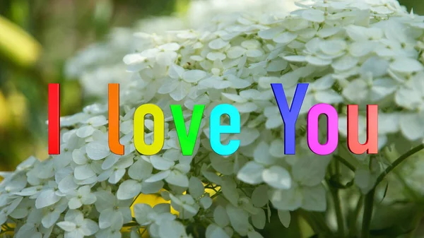 Amo Texto Color Flores Fondo —  Fotos de Stock