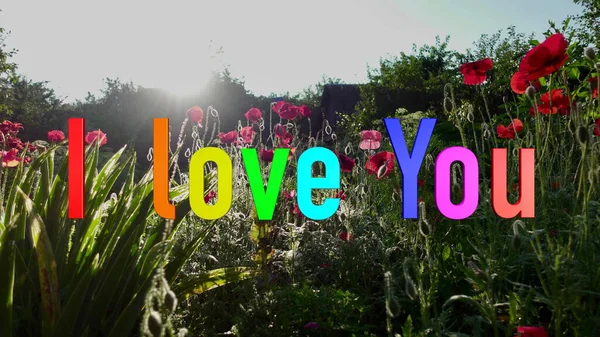 Love You Text Culoare Flori Fundal — Fotografie, imagine de stoc