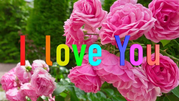 Love You Text Rainbow Colors Bright Flowers Background — Stock Photo, Image