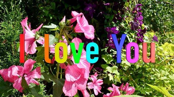 Ich Liebe Dich Text Regenbogenfarben Helle Blumen Hintergrund — Stockfoto