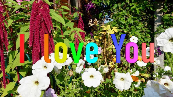 Amo Texto Colores Del Arco Iris Fondo Flores Brillantes — Foto de Stock