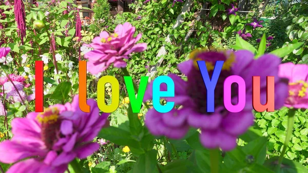 Miluju Když Píšeš Duhové Barvy Jasné Květy Pozadí — Stock fotografie