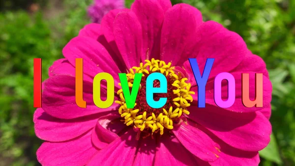 Miluju Když Píšeš Duhové Barvy Jasné Květy Pozadí — Stock fotografie
