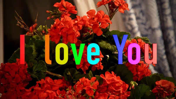 Kocham Cię Sms Tęczowe Kolory Jasne Kwiaty Tło — Zdjęcie stockowe