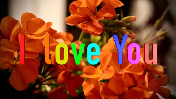 Amo Texto Colores Del Arco Iris Fondo Flores Brillantes — Foto de Stock