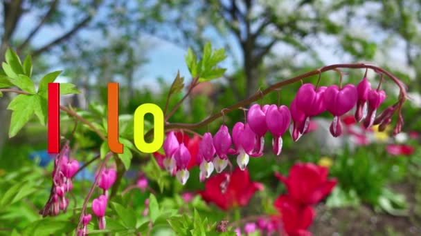 Amo Texto Color Arco Iris Fondo Flores — Vídeos de Stock