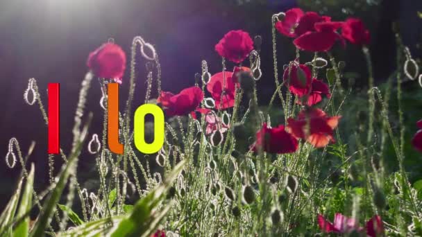 Ich Liebe Dich Text Regenbogenfarben Blumen Hintergrund — Stockvideo