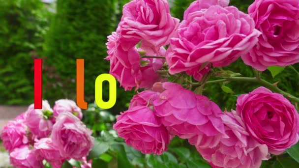 Amo Sms Colore Arcobaleno Fiori Sfondo — Video Stock