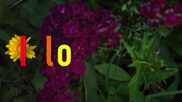 Amo Messaggiare Colori Arcobaleno Luminosi Fiori Sfondo — Video Stock