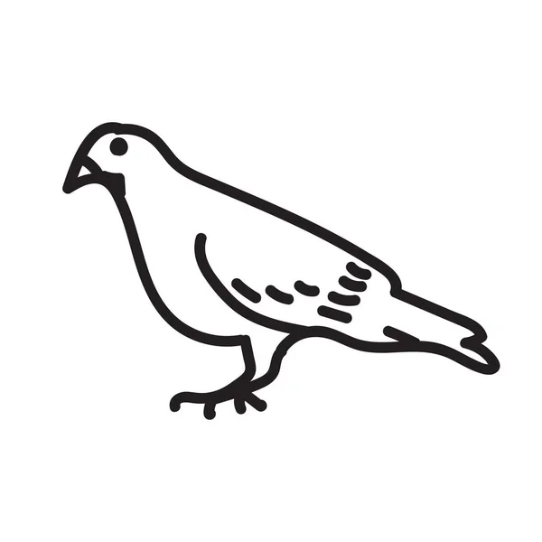 นกพิราบที่วาดด้วยมือในสไตล์ doodle จังหวะสีดํา ภาพเวกเตอร์ง่าย ๆ ที่แยกจากพื้นหลังสีขาว — ภาพเวกเตอร์สต็อก
