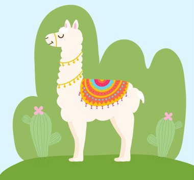 Şirin bir karikatür olan Peru Lama alpaka vektör grafik tasarımı. Peru ya da Bolivya renginde pelerinli bir hayvan. Pembe çiçekli yeşil kaktüs. Vektör illüstrasyonu.
