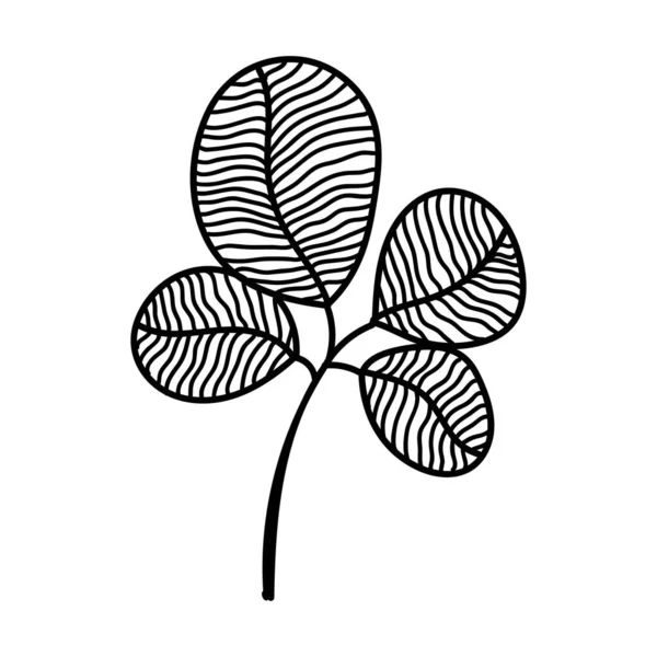 Doodle handritade platt vektor botaniska blad linje illustrationer isolerad på vit bakgrund. — Stock vektor