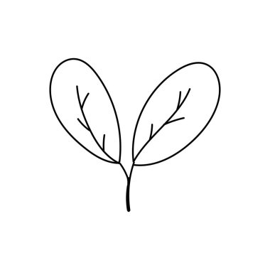 Karalama elle çizilmiş düz vektör botanik yaprak çizgi çizimleri beyaz arkaplanda izole.