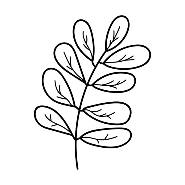 Doodle handritade platt vektor botaniska blad linje illustrationer isolerad på vit bakgrund. — Stock vektor