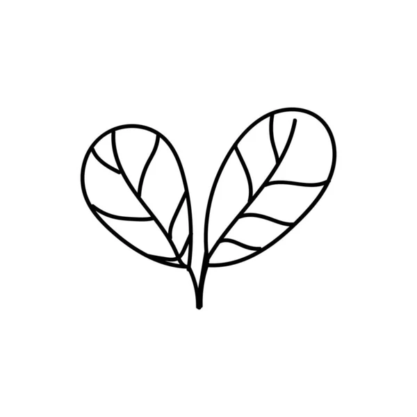 Doodle ręcznie rysowane płaskie wektor botaniczne liści linii ilustracje izolowane na białym tle. — Wektor stockowy