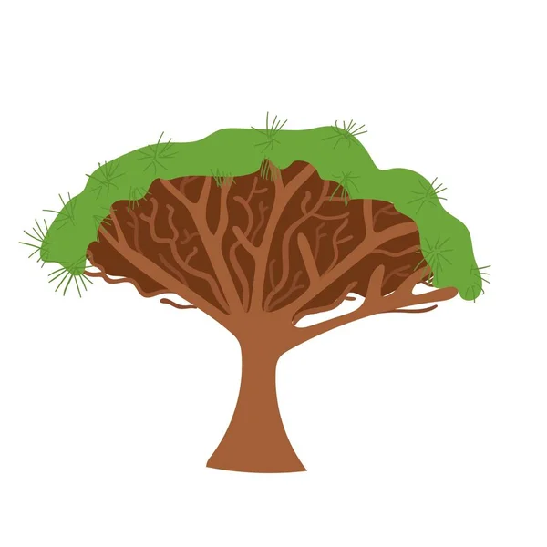 El çizimi Afrika Ejderhası kan ağacı — Stok Vektör