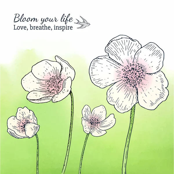 银莲花的春天的花朵卡模板 — 图库矢量图片