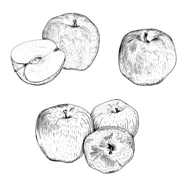 Mürekkep elma skeçler seti