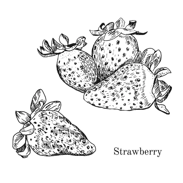 Handgezeichnete Skizze mit Erdbeertinte. — Stockvektor