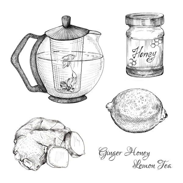 Gengibre mel limão chá tinta esboços conjunto —  Vetores de Stock