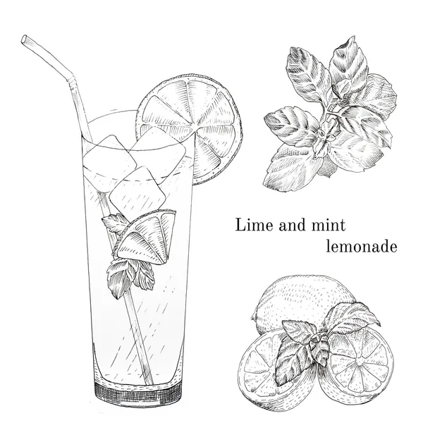 Conjunto de esboço de tinta de limonada de limão e hortelã —  Vetores de Stock