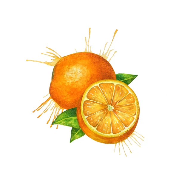 Esbozo naranja acuarela — Vector de stock