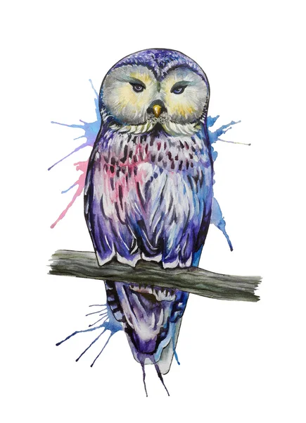 Watercolor owl sketch Royalty Free Stock Vectors