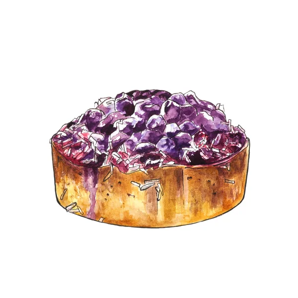 Watercolor blueberry cake with coconut Vector Graphics