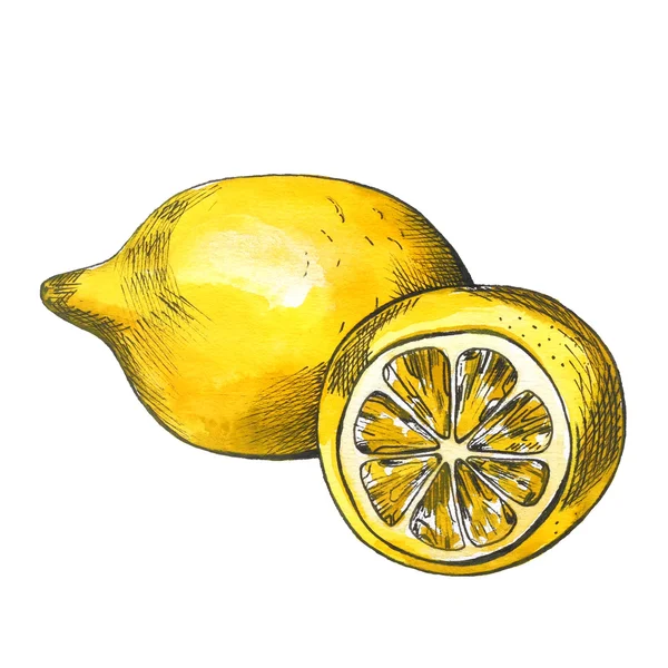 Hand drawn watercolor lemon sketch with ink contour — Stock Photo, Image