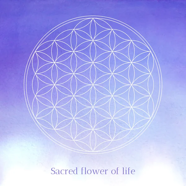 83,935 Flower of life Vectors, Royalty-free Vector Flower of life ...