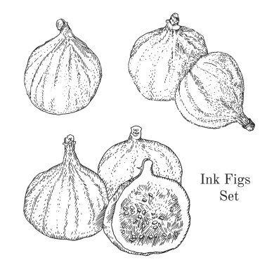 Ink figs sketches set clipart
