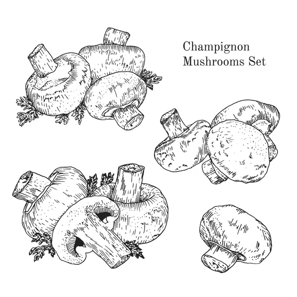 Μελάνι μανιτάρια champignon σκίτσα σύνολο — Διανυσματικό Αρχείο