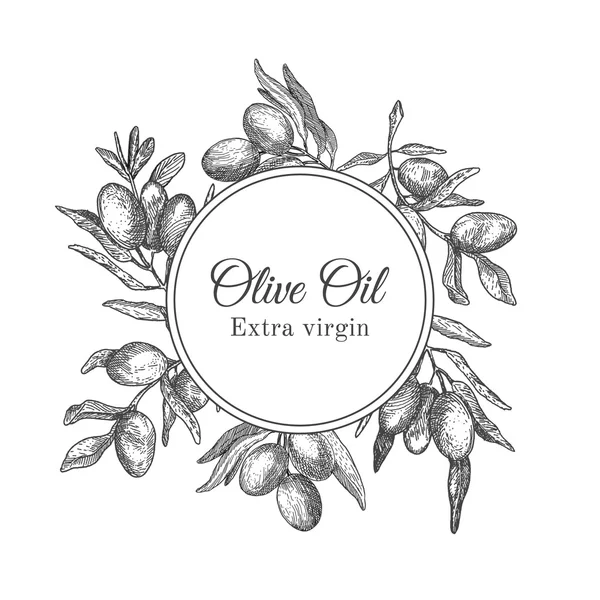 Marco de tinta dibujado a mano con rama de olivo — Vector de stock
