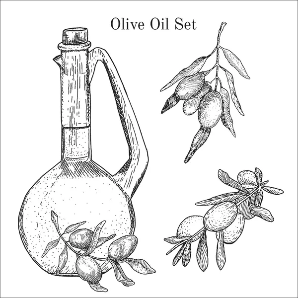 Ink hand drawn olive oil set — Stock Vector