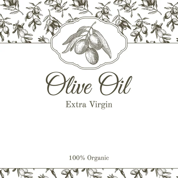 Plantilla adhesiva de aceite de oliva con ilustración gráfica de rama de olivo — Vector de stock