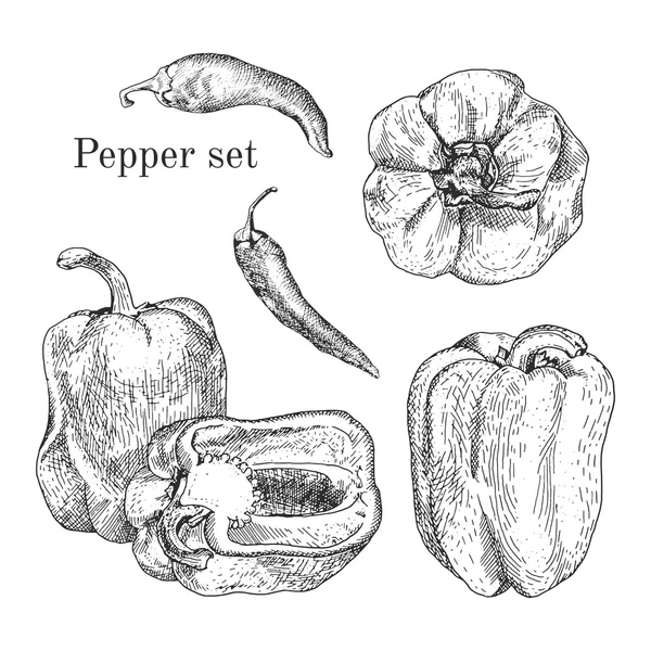 고추 잉크 스케치 세트 — 스톡 벡터