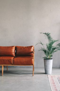 Kahverengi deri kanepesi ve ev bitkileriyle modern oturma odasının iç tasarımı. Yüksek kalite fotoğraf