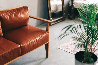 Kahverengi deri kanepesi ve ev bitkileriyle modern oturma odasının iç tasarımı. Yüksek kalite fotoğraf