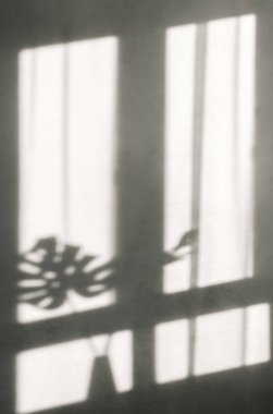 Pencere gölgeli beyaz bir duvar. Yüksek kalite fotoğraf